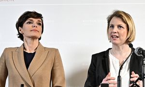 SPÖ und Neos zu geplantem Lockdown: Statement von Meinl-Reisinger