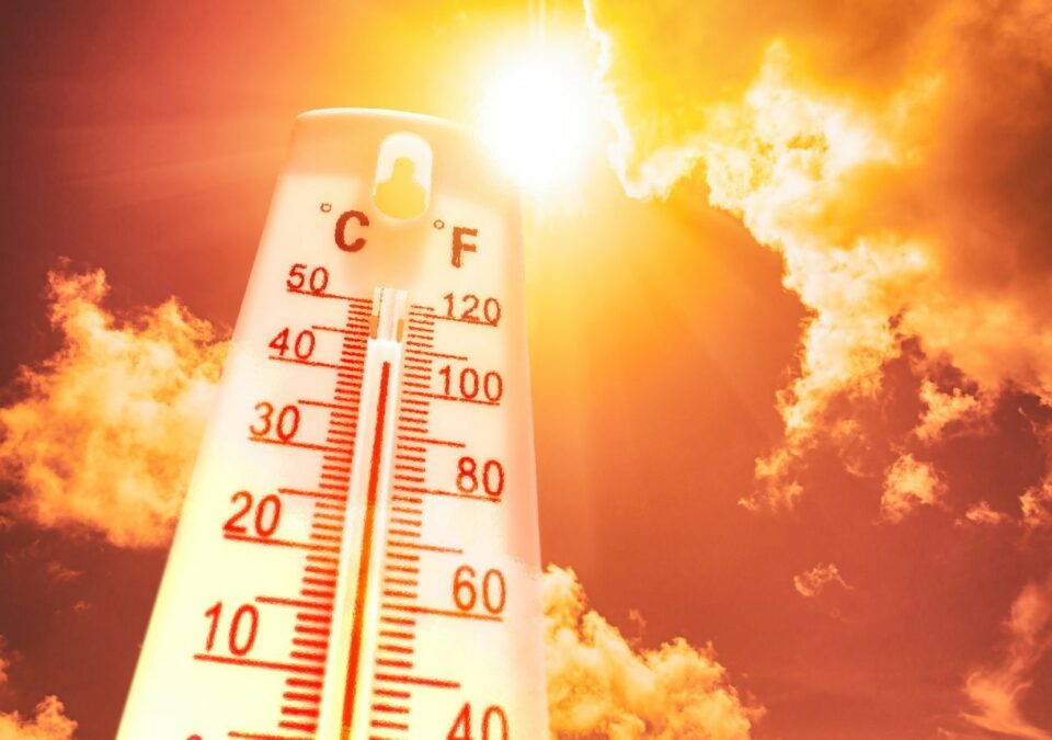 Mega-Hitze fordert immer mehr Opfer