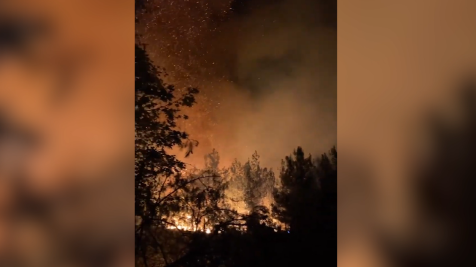 Waldbrände: Großes Feuer auf Ferieninsel Thassos
