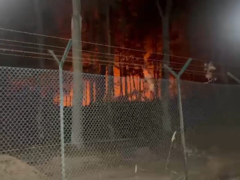 Waldbrand am Partystrand auf kroatischer Insel Pag ausgebrochen