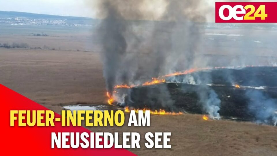 Feuer-Inferno am Neusiedler See