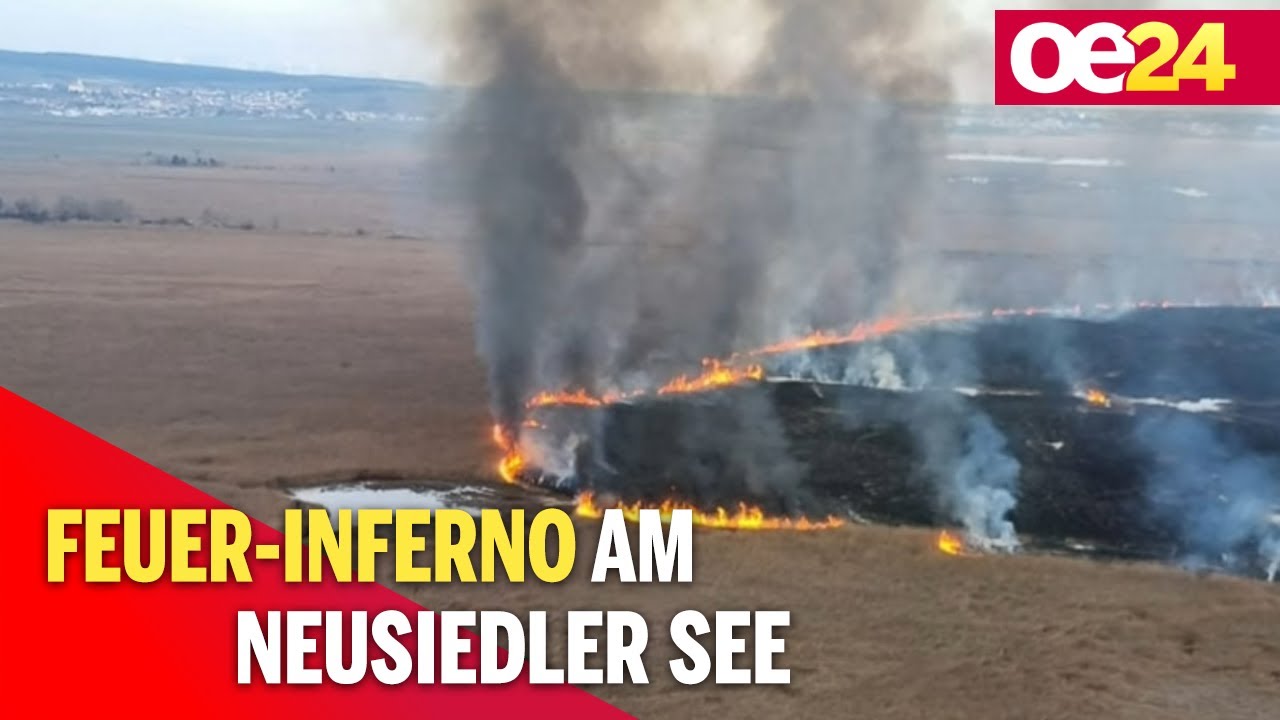 Feuer-Inferno am Neusiedler See