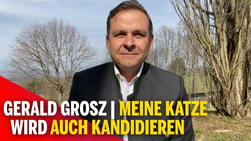 Gerald Grosz | Meine Katze wird auch für SPÖ-Vorsitz kandidieren